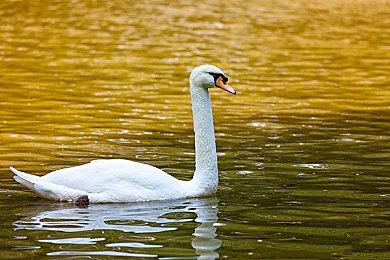 《求生之路》前主创正开发一个新的合作射击游戏