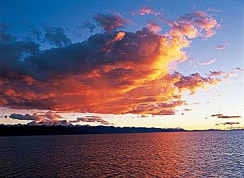 随身视角恐怖游戏《癫狂动物园》9＆23推出